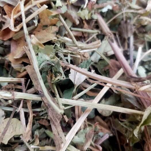 唐河县花生秧草料