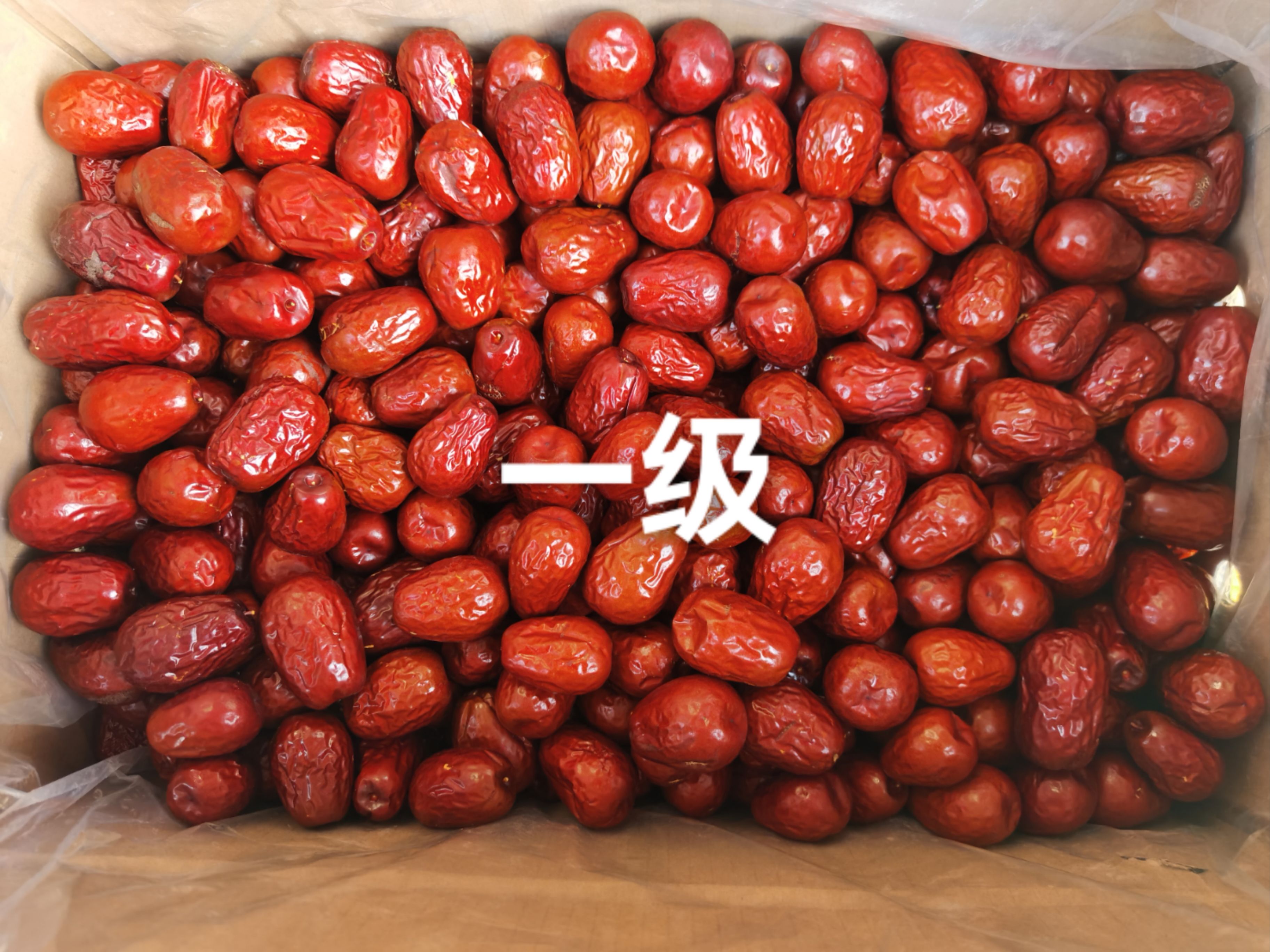 免洗駿棗 戈壁紅棗，質(zhì)量好，飽滿度好，肉質(zhì)瓷實(shí)一件起批