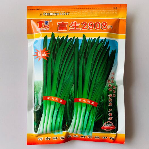 韭菜种子富生2908韭菜种抗寒性极强无休眠是保护地和露地种植
