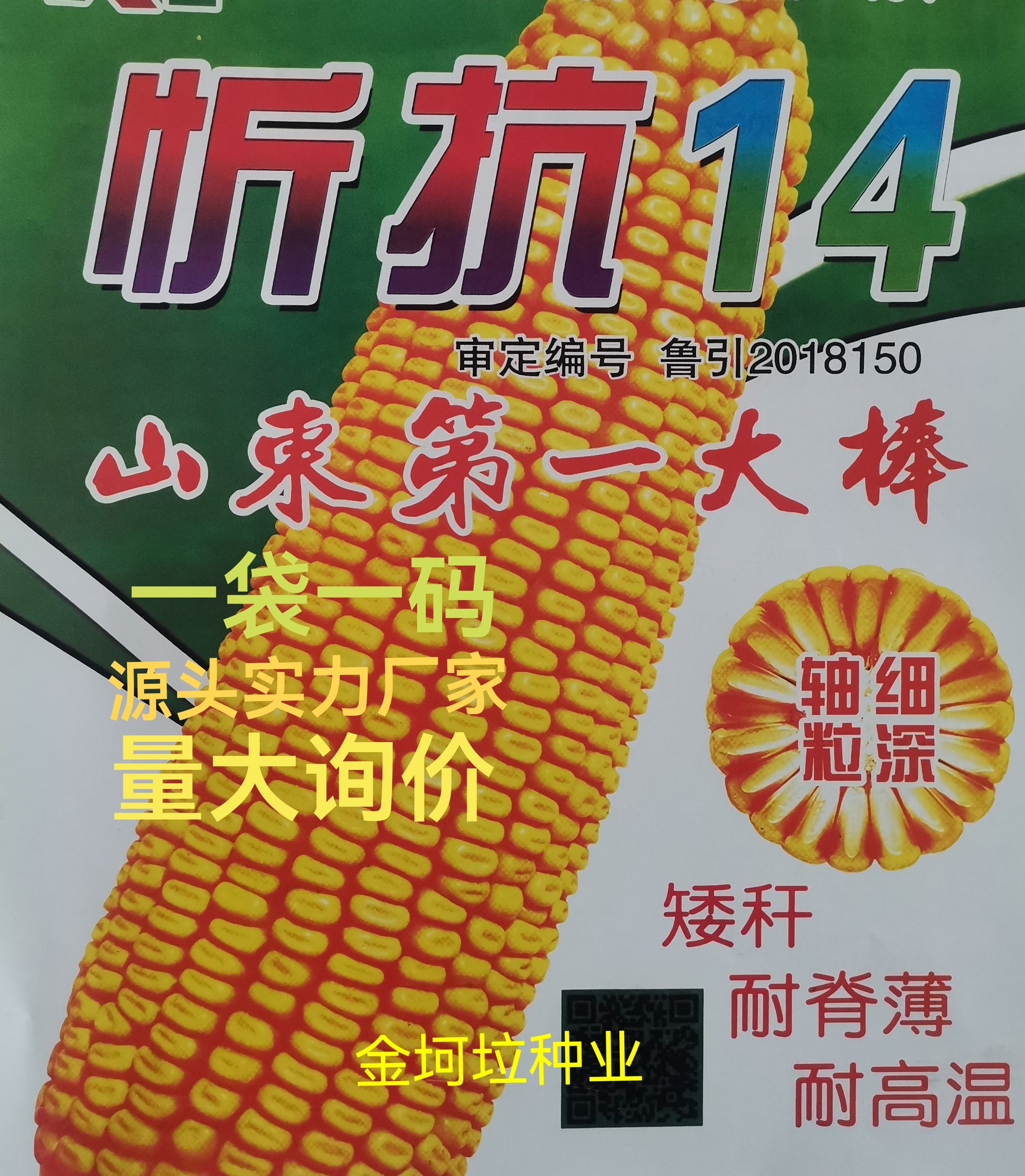 肥城市忻抗14玉米种子杂交产量高棒子大矮杆高抗锈病山东厂家直供包邮
