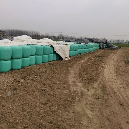 阜南县大量供应优质牛羊草料，包装好，耐存放，易消化，运输方便