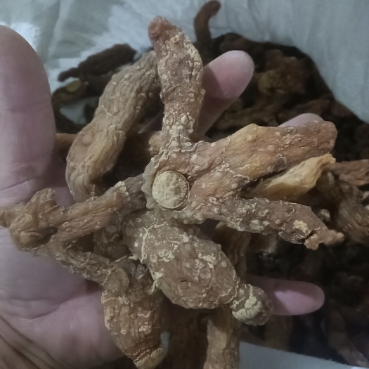 池州黄精干货