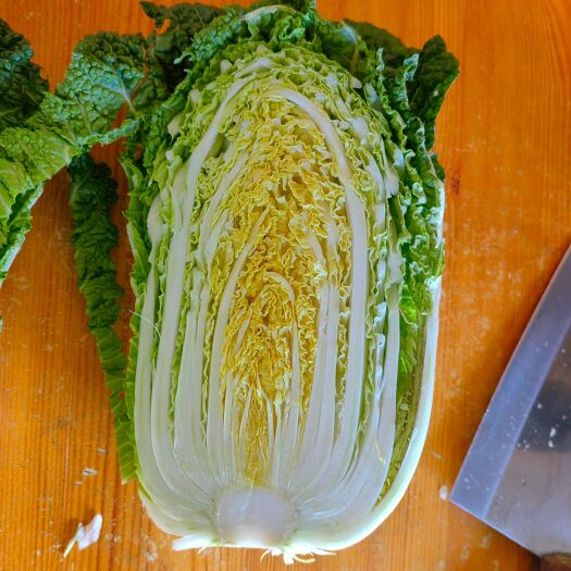 威宁县黄心白菜