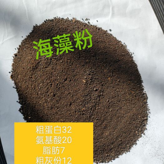 郓城县厂家直销饲料厂养殖户专用好产品海藻粉正式上市了