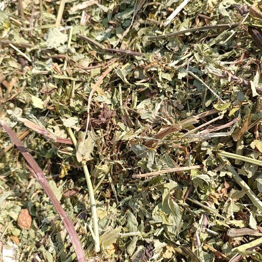 正阳县优质花生秧。正在加工中。需要的请联系。