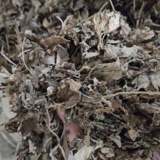 阜南县卖干艾草，整颗和纯艾叶都有