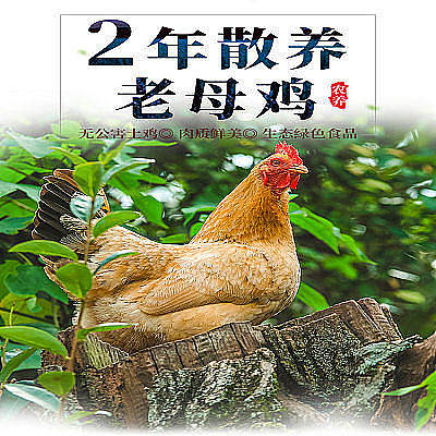 優(yōu)品良禽