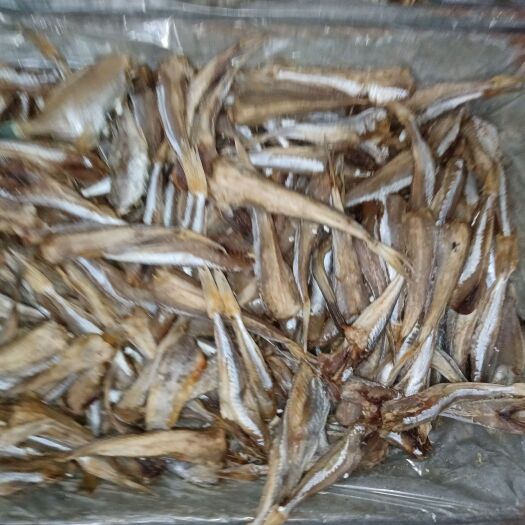 日照三去红头鱼干