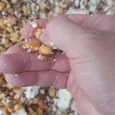 昆明【包物流费】发酵玉米高粱豆渣预混料发酵1000斤起批