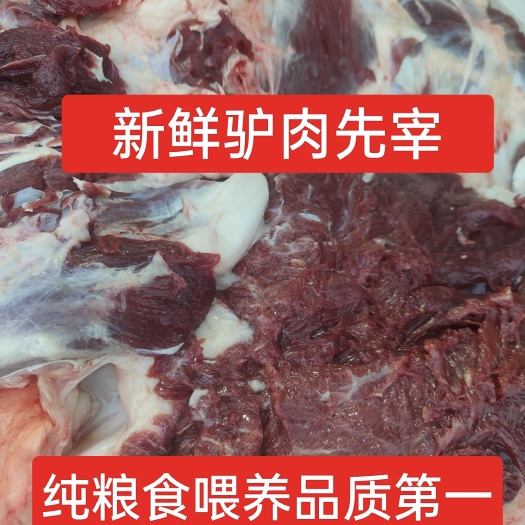 大连农家散养毛驴新鲜驴肉批发