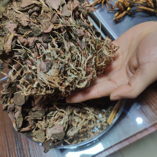 金线莲，好货，不碎