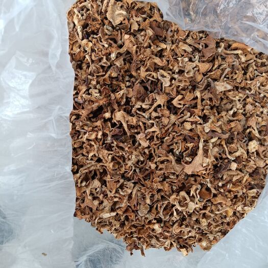 安康黄丝菌，鸡油菌，无泥脚