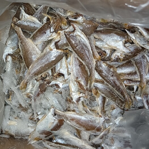 日照杂鱼干，价格低，需要的速度