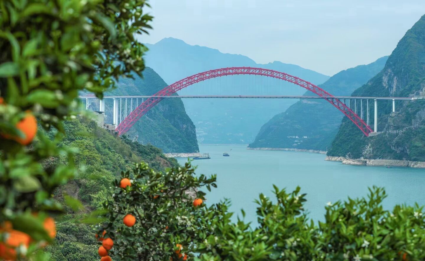 橙二哥農(nóng)家鮮果