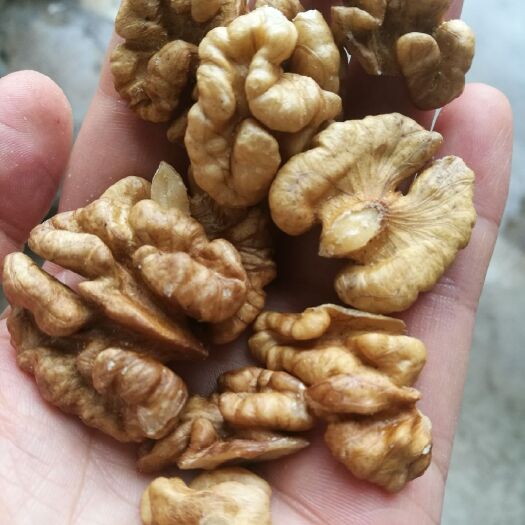 周至县今年自己家里种的核桃，品种薄皮厚皮混在一起，无水洗，都是实图