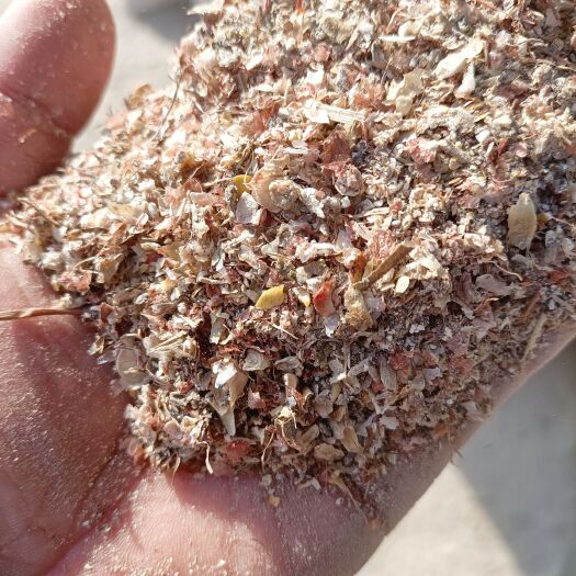 玉米毛糠