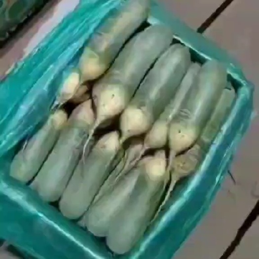 肥城市精品彩箱水果萝卜，大量供应超市，市场电商，全国发货，保质保量