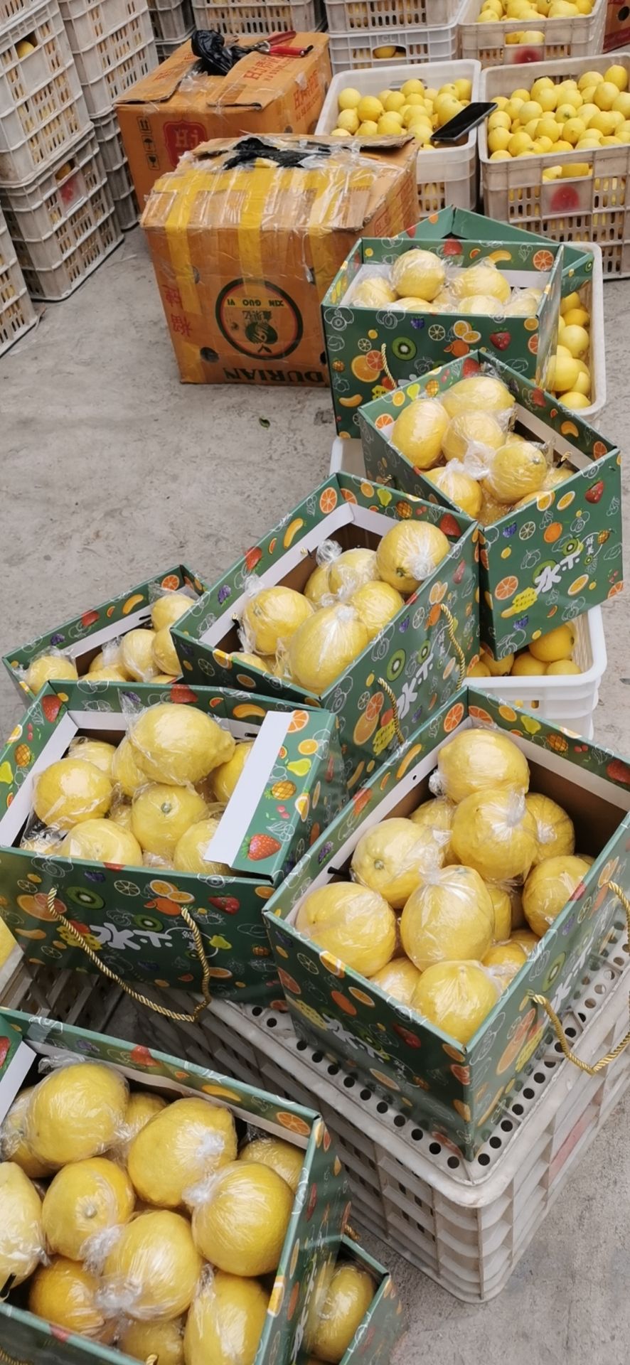 安岳新鲜柠檬