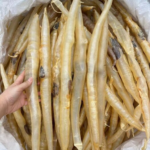 南澳县7-8头巴基斯坦鳗鱼胶 花胶  漂亮货 月子胶 足干肉厚
