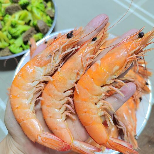 英德市印尼海虾