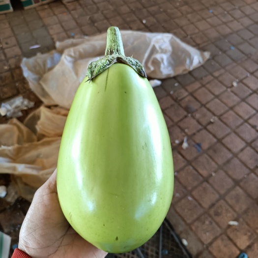 徐闻县一手货源、产地直发、无中间商赚差价、按需分拣