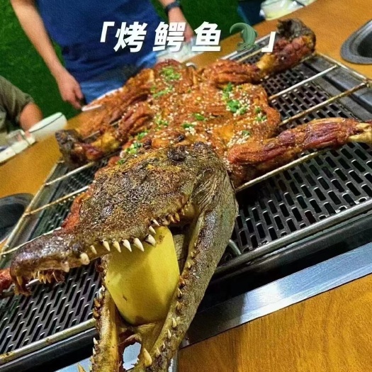 人工驯养繁殖