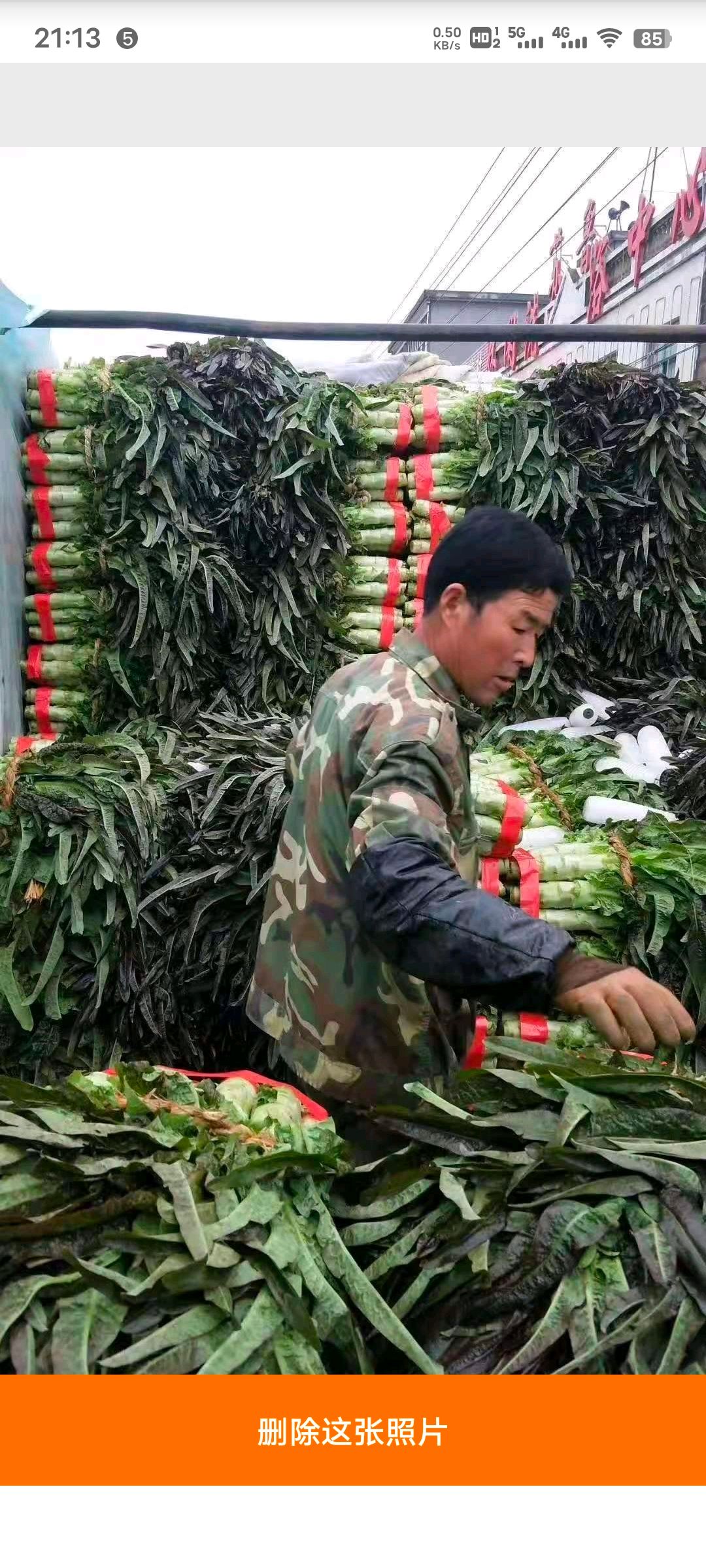 红叶香莴笋-基地直供-视频看货-量大从优