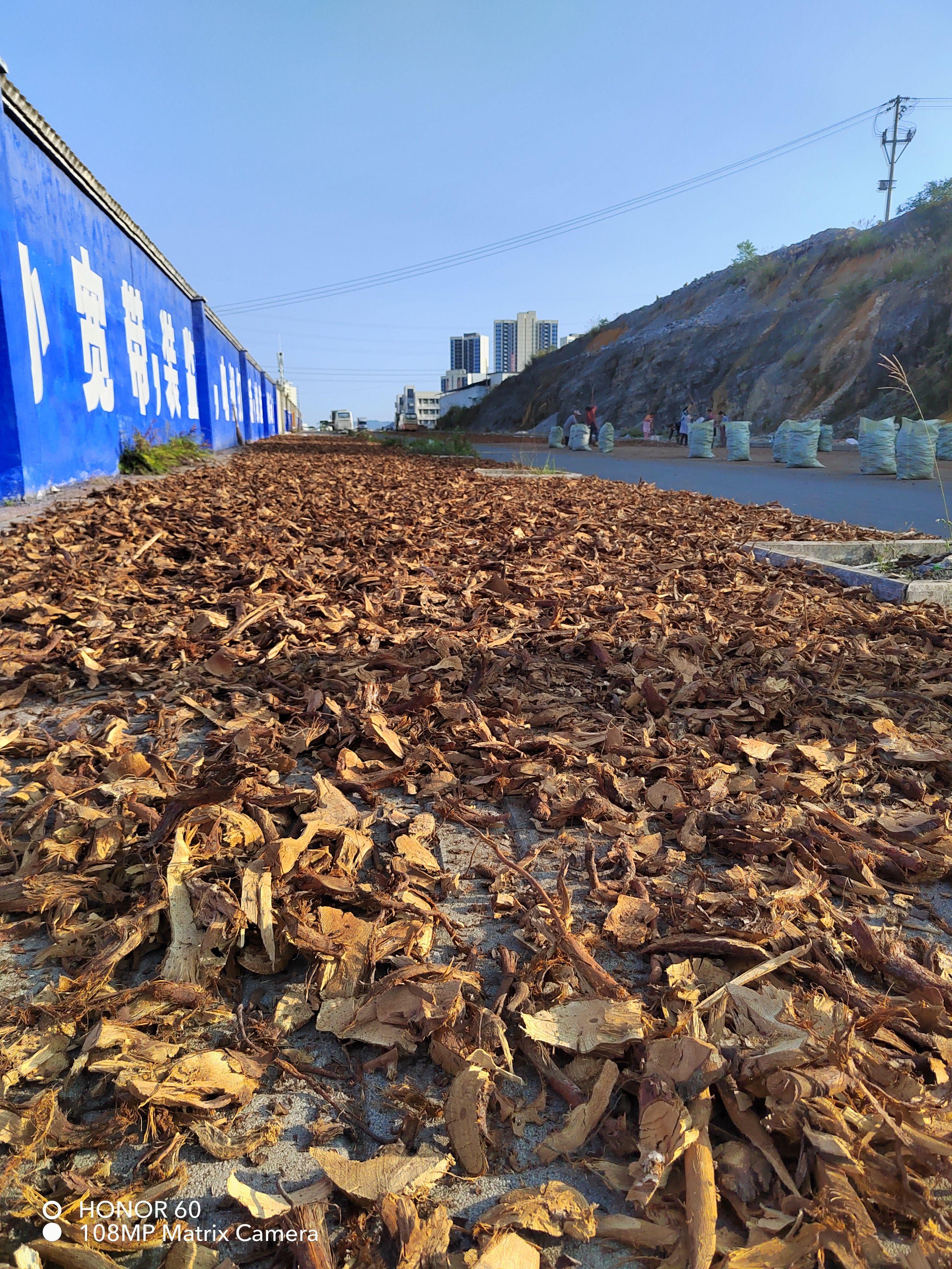 本土优质金樱根干货