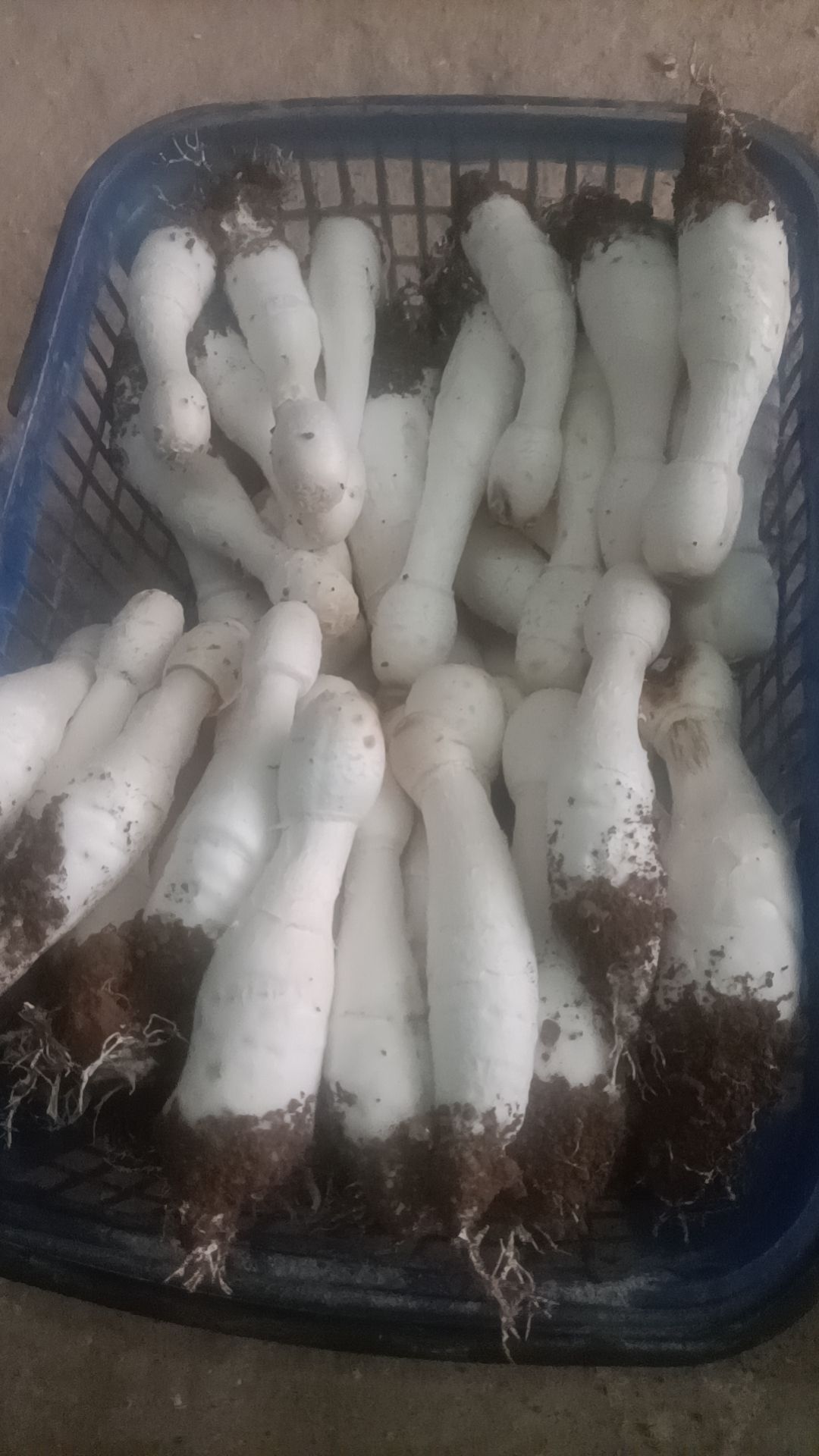 商超，小包更好更实惠