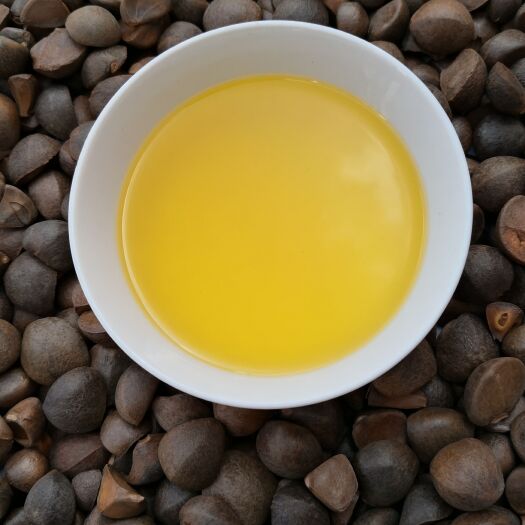 北流市山茶油