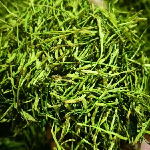 隆回县山银花