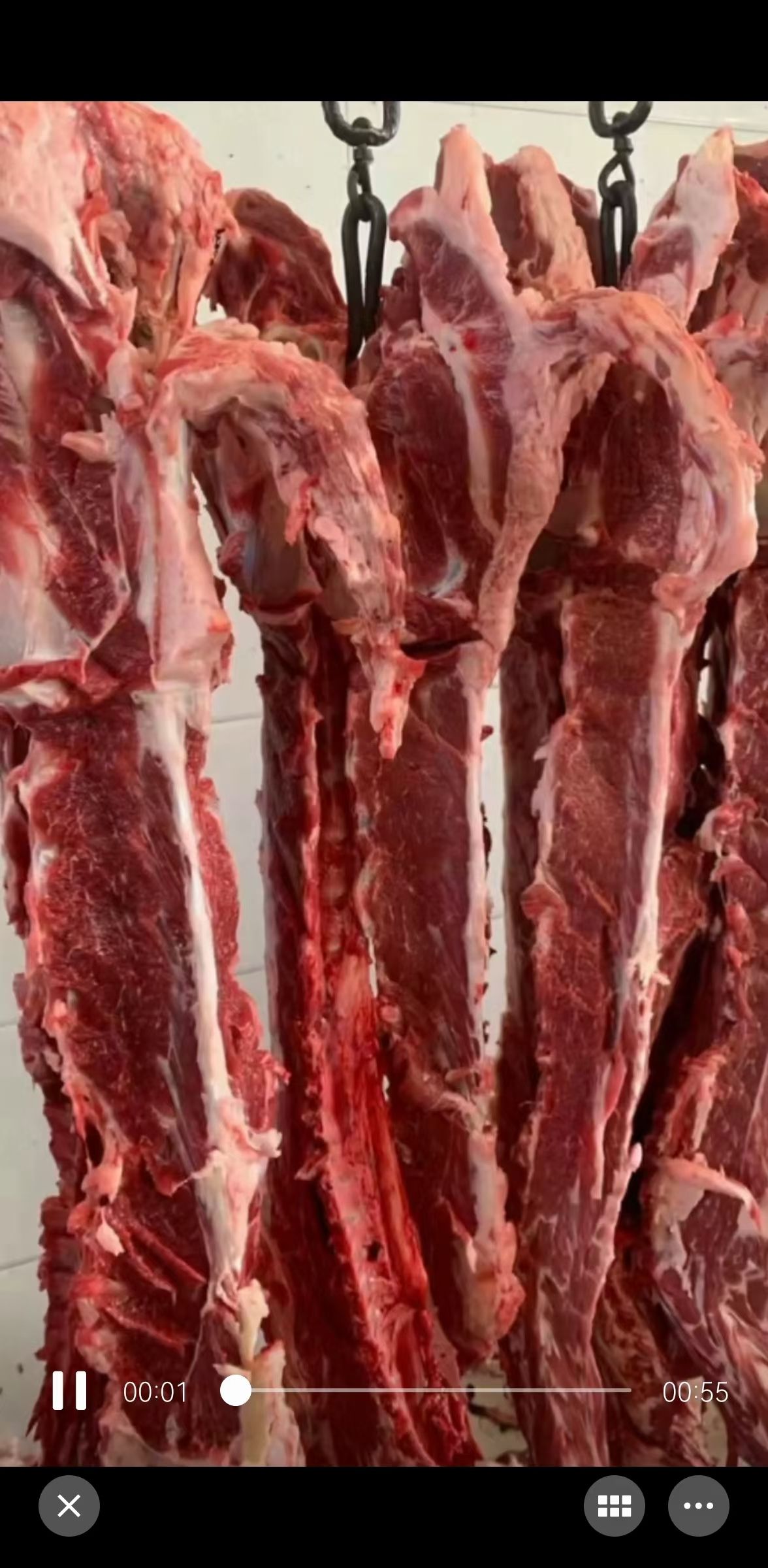 多肉羊蝎子 加肉羊蝎子 羊脊骨