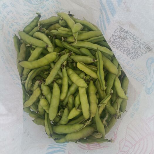 大姚县云南青蚕豆(胡豆)厂地直发，一手货源