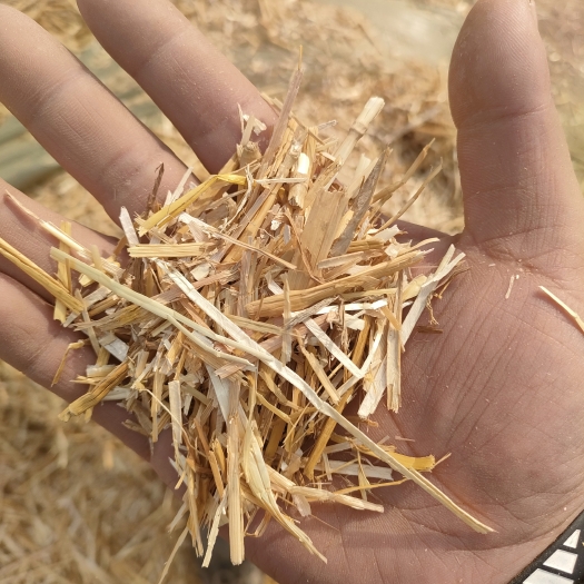 正阳县麦草 小麦秸秆 压块干草 牛羊饲料