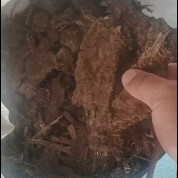 宁波出售鸭粪