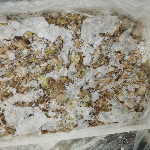 莘县鸡杂  鸡肚