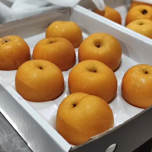 莱阳市秋月梨