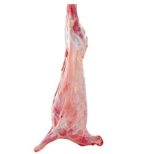 现宰羊肉
