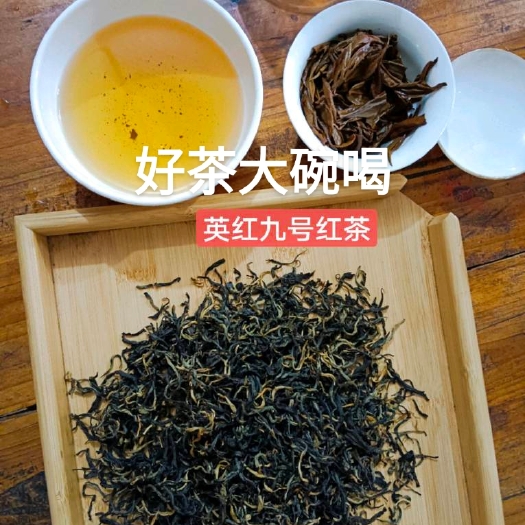 英德市茶园直供源头英德红茶英红九号金毛毫红茶