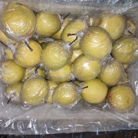 辛集市雪花梨小阳人克星水果界的连花清瘟需要的联系