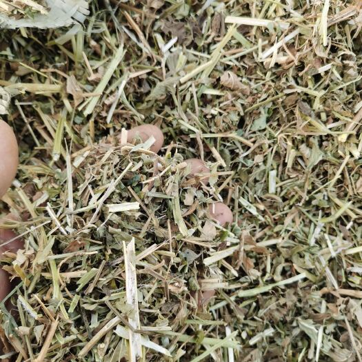 新沂市花生秧 无土无膜