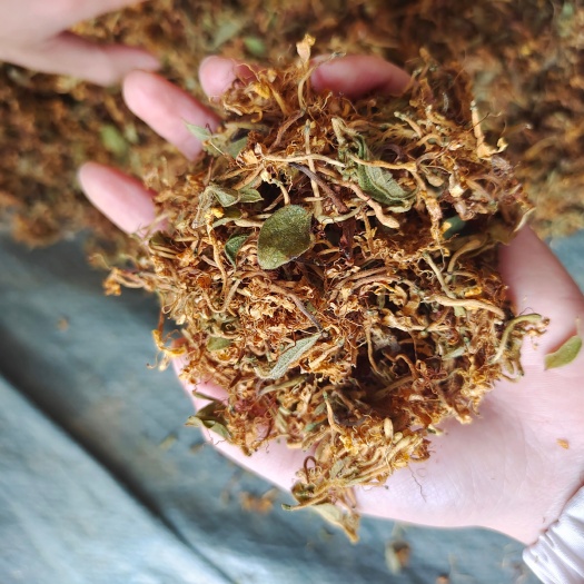 金银花生晒现货批发颜色黄亮有叶子