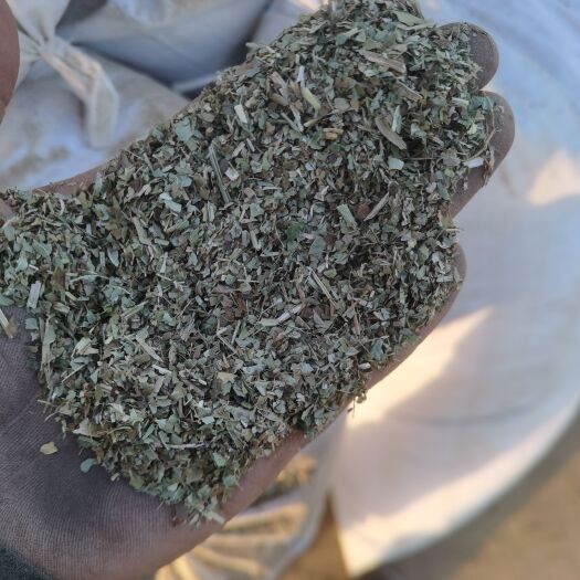 叶县纯绿风选叶粉！大片叶粉