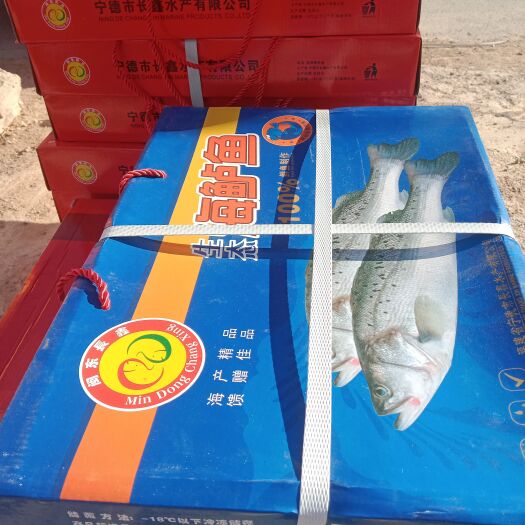 滨州礼盒装年货热卖深海鲈鱼送礼团购电商一件代发