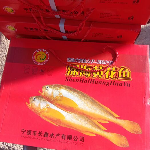 滨州年货新鲜大黄花鱼团购电商送礼