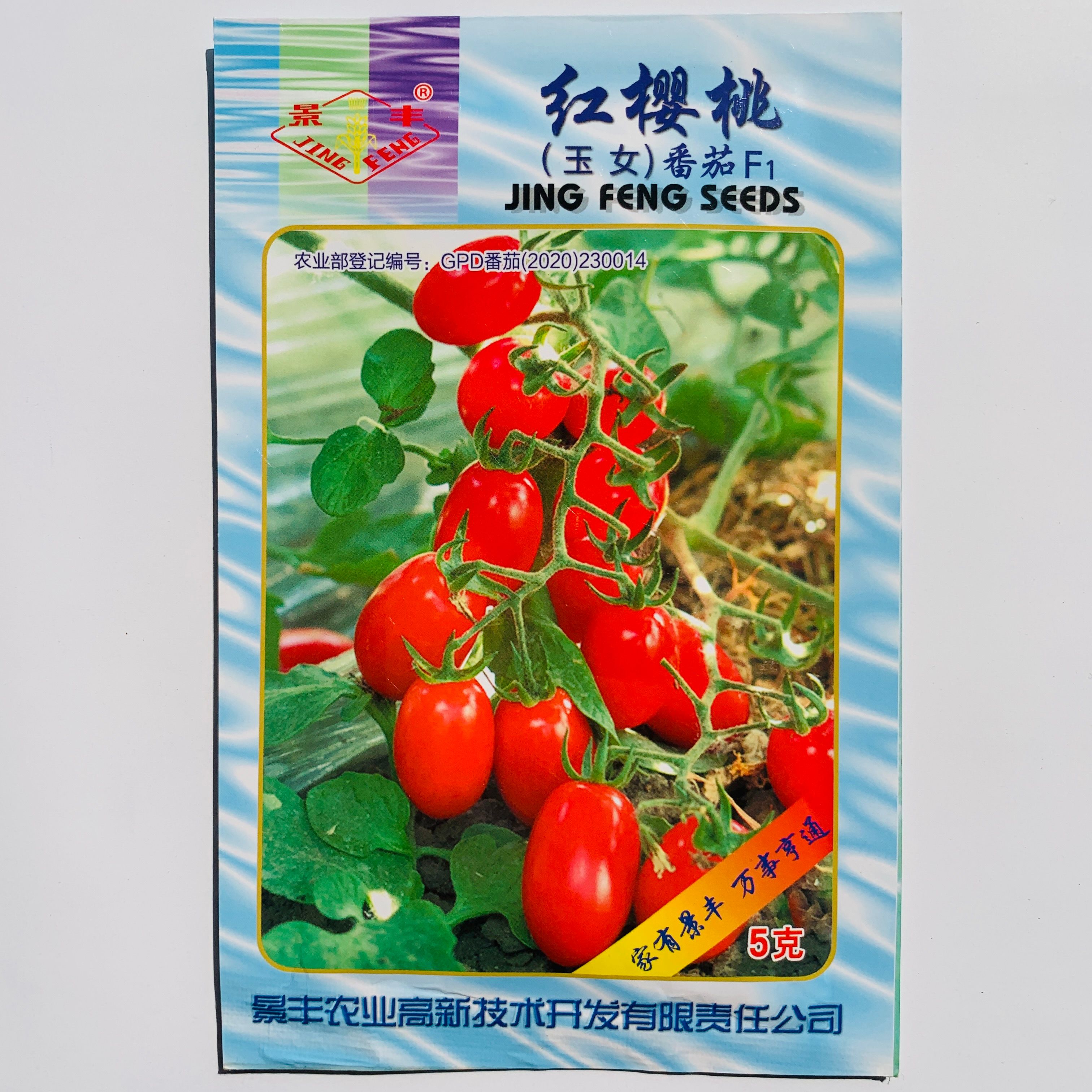 沭阳县樱桃番茄种子红色小番茄种子小西红柿种子包邮大田用种优质种子