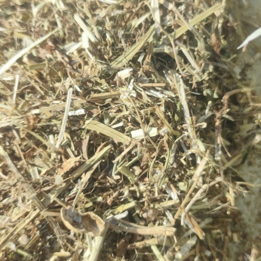 汝南县花生秧