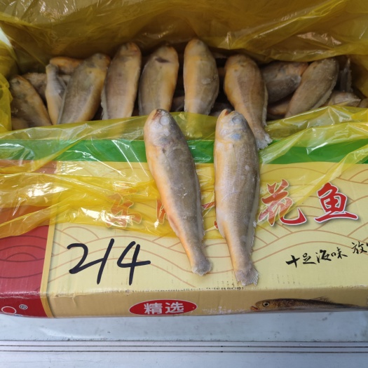 成都小黄鱼东海黄花鱼烧烤用夜猫小黄鱼