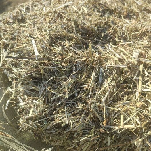 汝南县花生秧