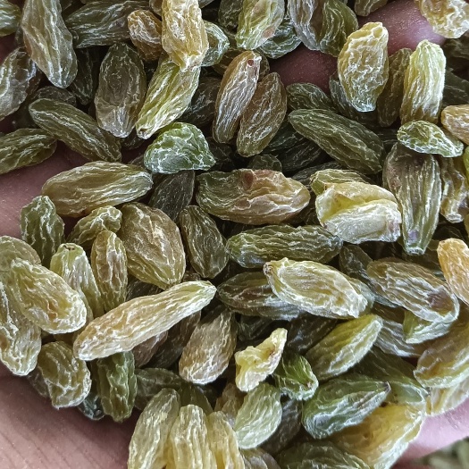 吐鲁番绿葡萄干一级
